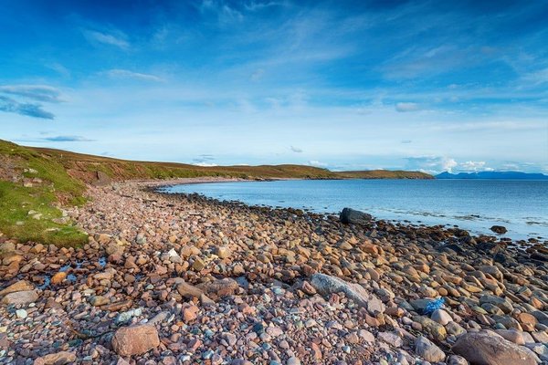 Élégance gustative : L'art de l'étiquette farine